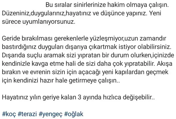 koç ve 14 ek (2).webp