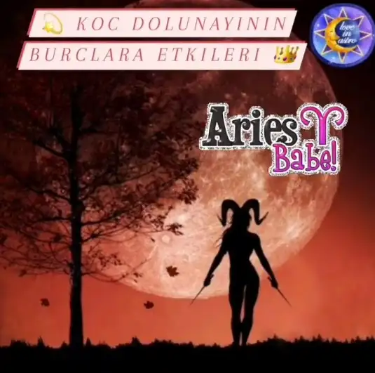 koç.webp