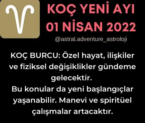 koç yeniay5 (1).webp