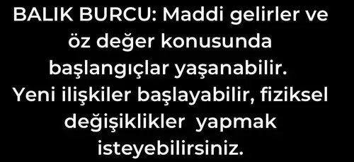 koç yeniay5 (10).webp