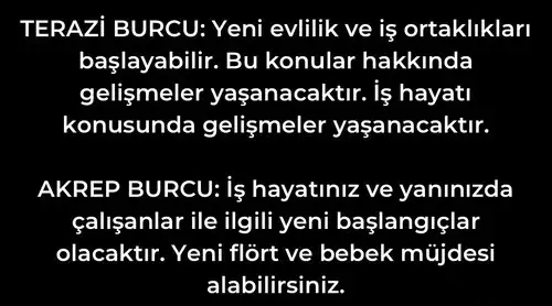 koç yeniay5 (6).webp