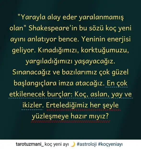 koç yeniayı 0.webp