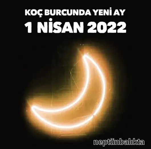 koç yeniayı 1 (1).webp
