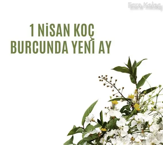 koç yeniayı 1 (1).webp