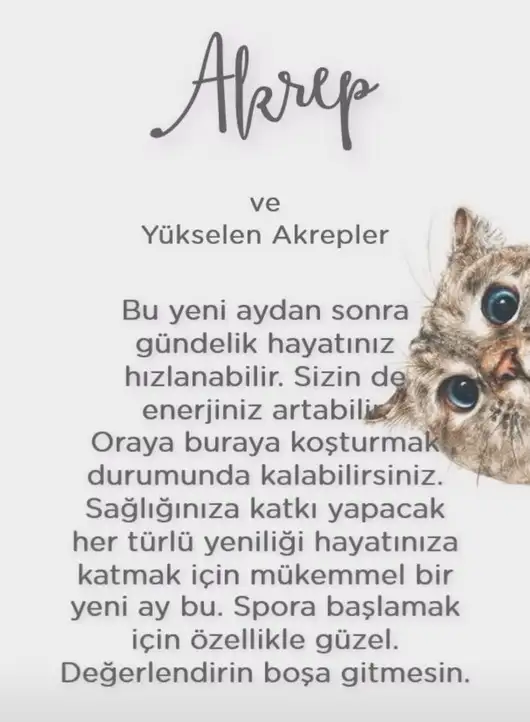 koç yeniayı 1 (10).webp