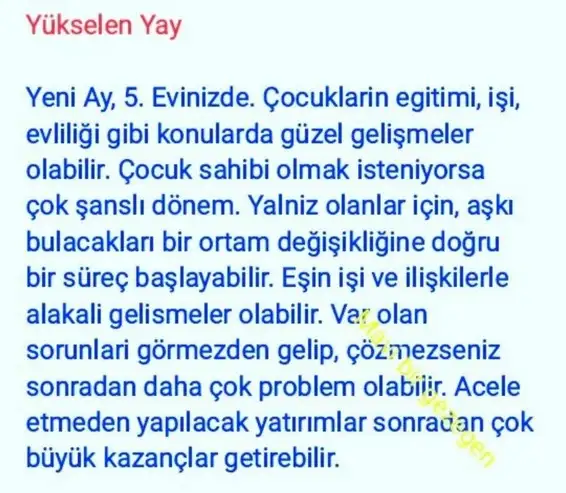 koç yeniayı 1 (10).webp