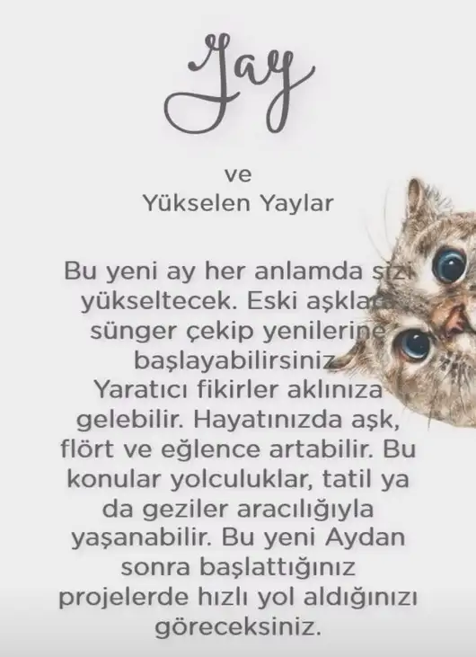 koç yeniayı 1 (11).webp