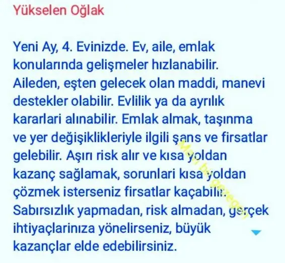 koç yeniayı 1 (11).webp