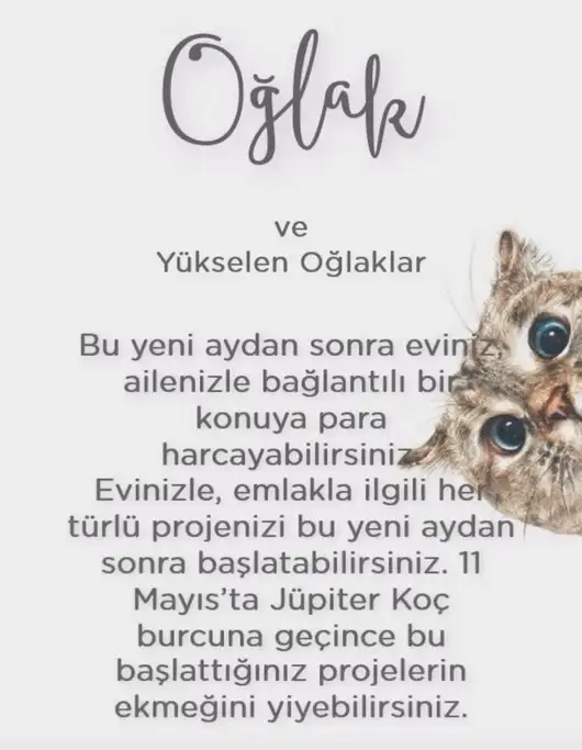 koç yeniayı 1 (12).webp