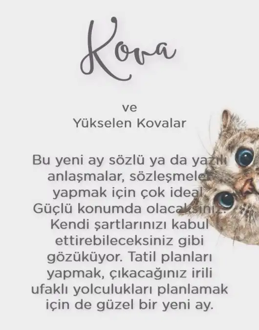 koç yeniayı 1 (13).webp