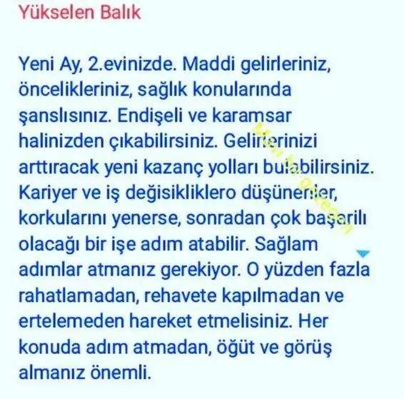 koç yeniayı 1 (13).webp