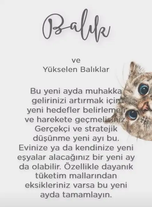 koç yeniayı 1 (14).webp