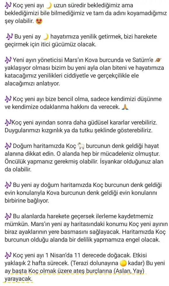koç yeniayı 1 (2).webp