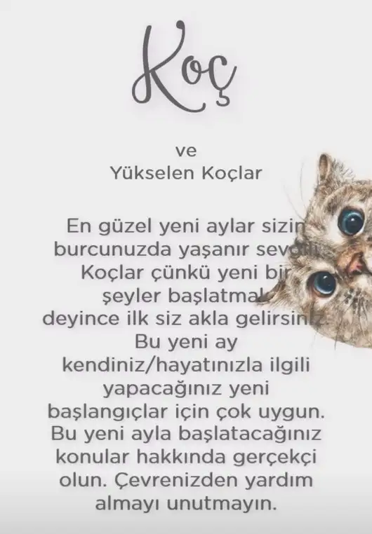 koç yeniayı 1 (3).webp