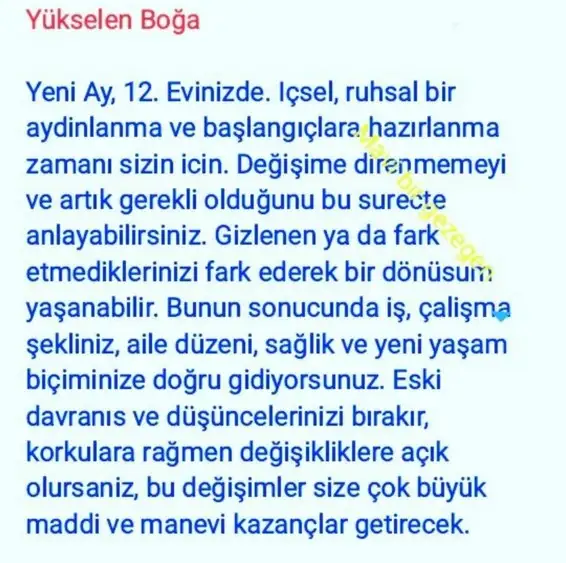 koç yeniayı 1 (3).webp