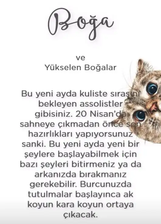 koç yeniayı 1 (4).webp