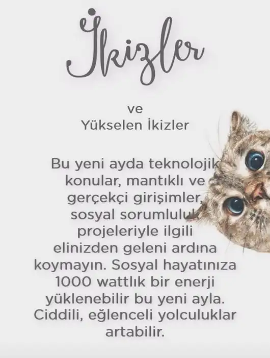 koç yeniayı 1 (5).webp