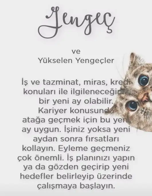 koç yeniayı 1 (6).webp