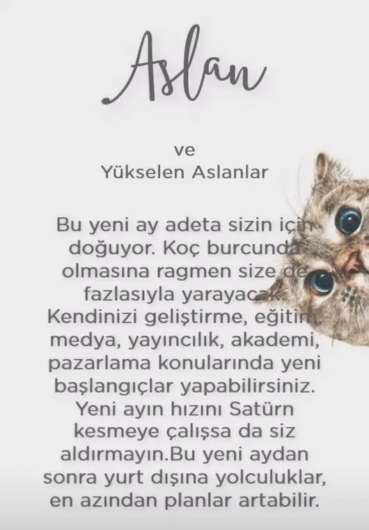 koç yeniayı 1 (7).webp