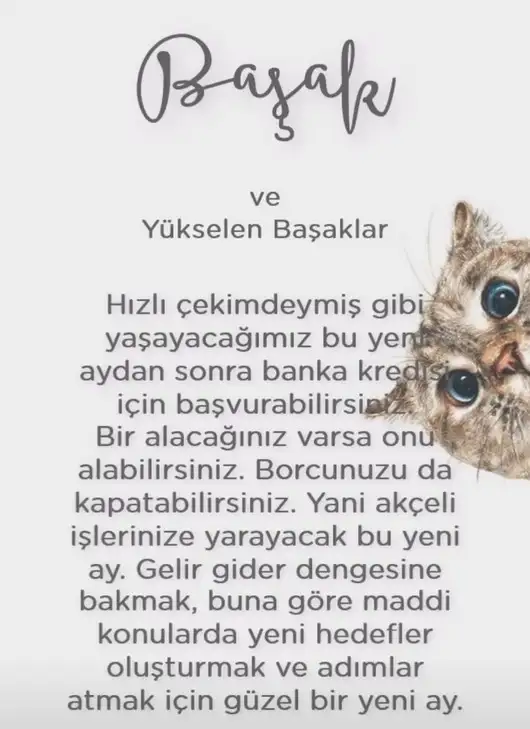 koç yeniayı 1 (8).webp