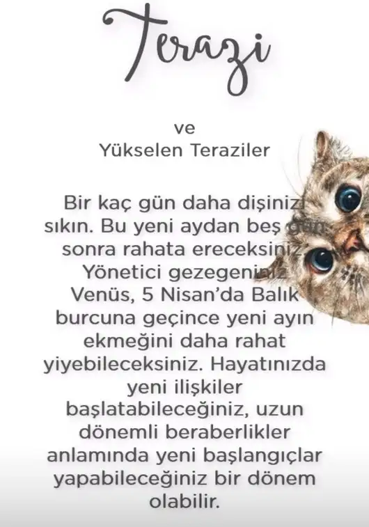 koç yeniayı 1 (9).webp