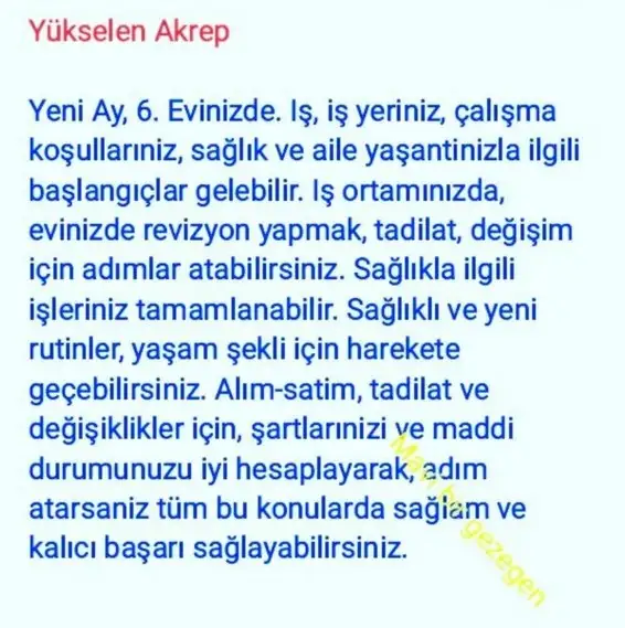 koç yeniayı 1 (9).webp