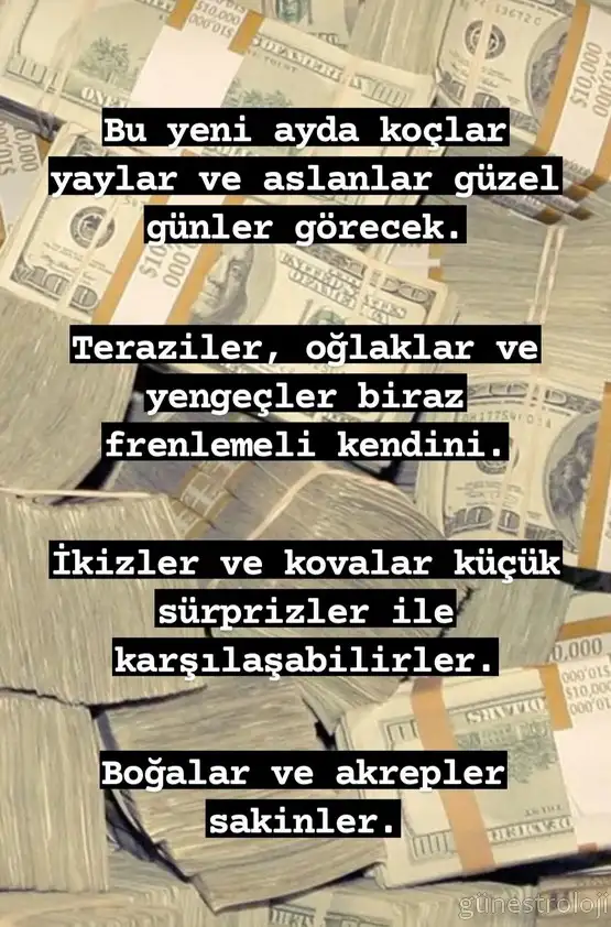 koç yeniayı 10.webp