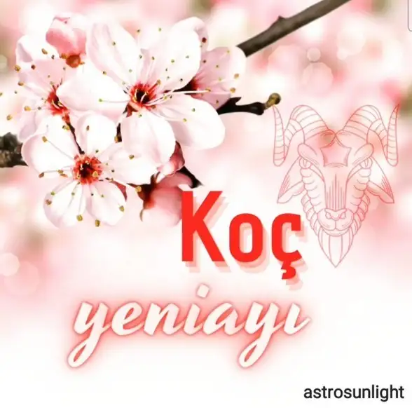 koç yeniayı 11 (1).webp
