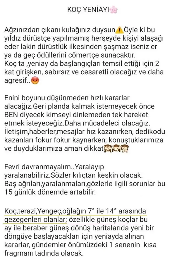 koç yeniayı 11 (2).webp
