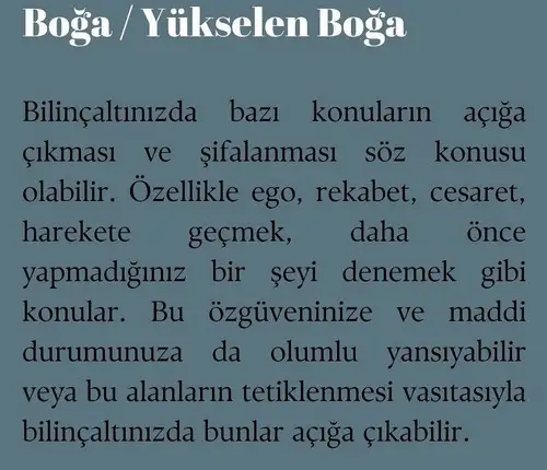 koç yeniayı 15 (3).webp