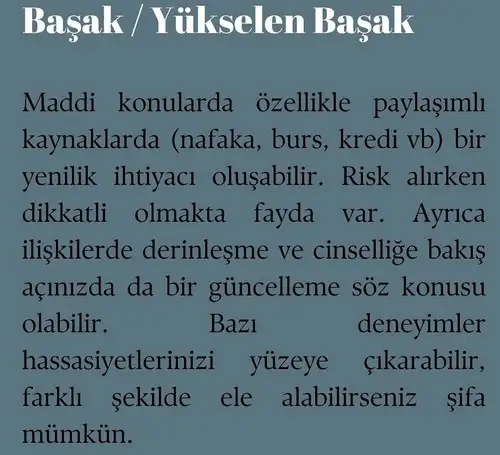 koç yeniayı 15 (7).webp