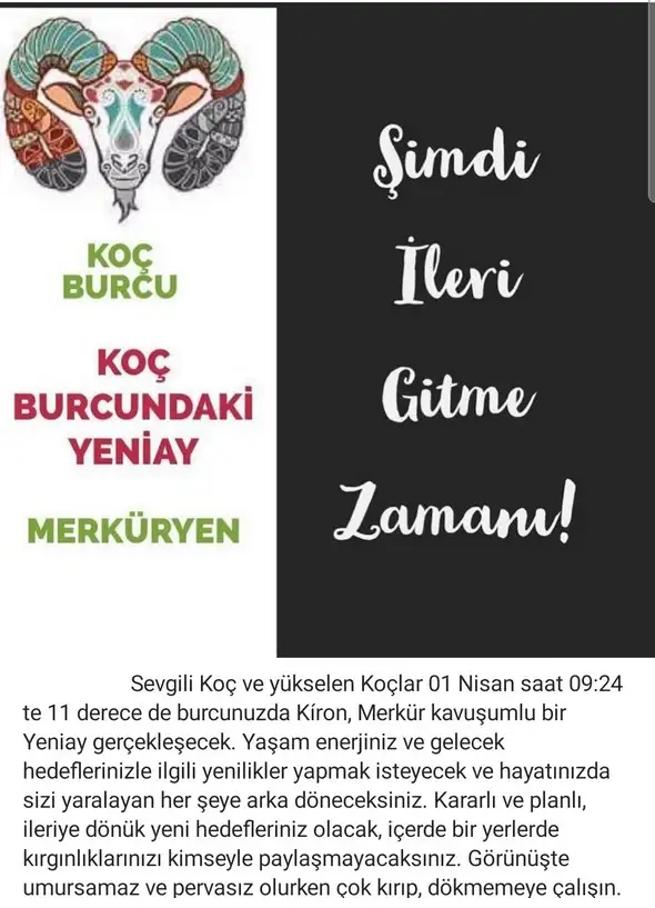 koç yeniayı 2 (1).webp