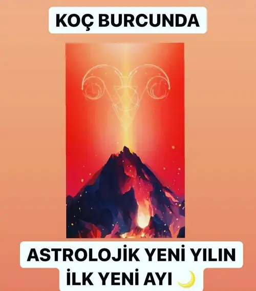 koç yeniayı 2 (1).webp