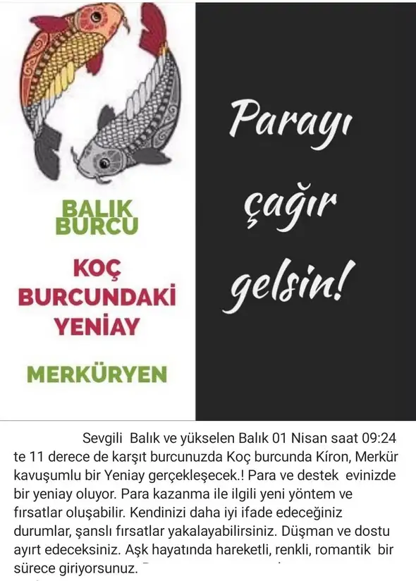 koç yeniayı 2 (12).webp
