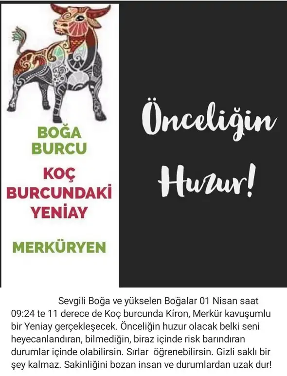 koç yeniayı 2 (2).webp