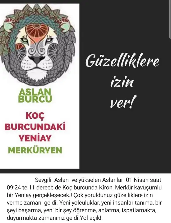 koç yeniayı 2 (5).webp