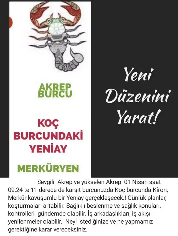 koç yeniayı 2 (8).webp