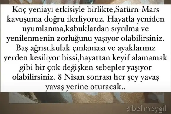 koç yeniayı 2.webp