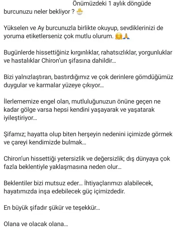 koç yeniayı 20 (1).webp