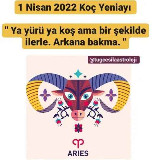 koç yeniayı 21 (1).webp