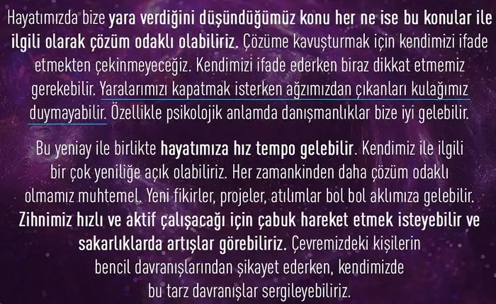 koç yeniayı 24 (3).webp