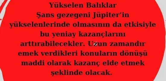 koç yeniayı 28 (14).webp