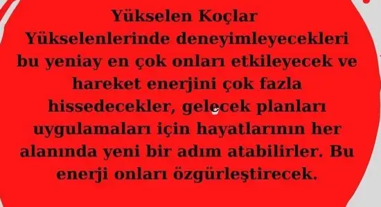 koç yeniayı 28 (2).webp