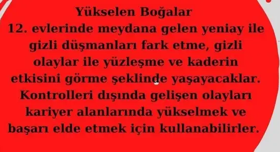 koç yeniayı 28 (3).webp