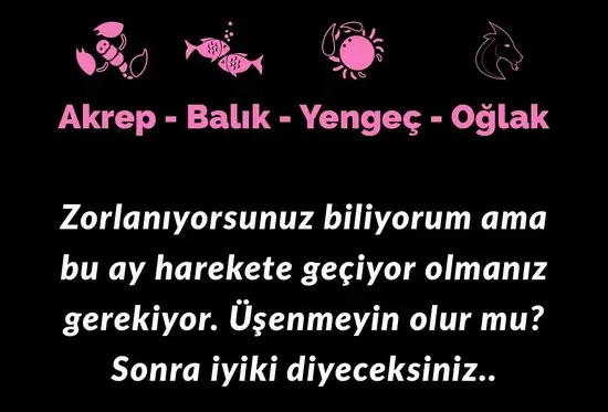 koç yeniayı 5 (2).webp