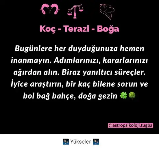 koç yeniayı 5 (3).webp