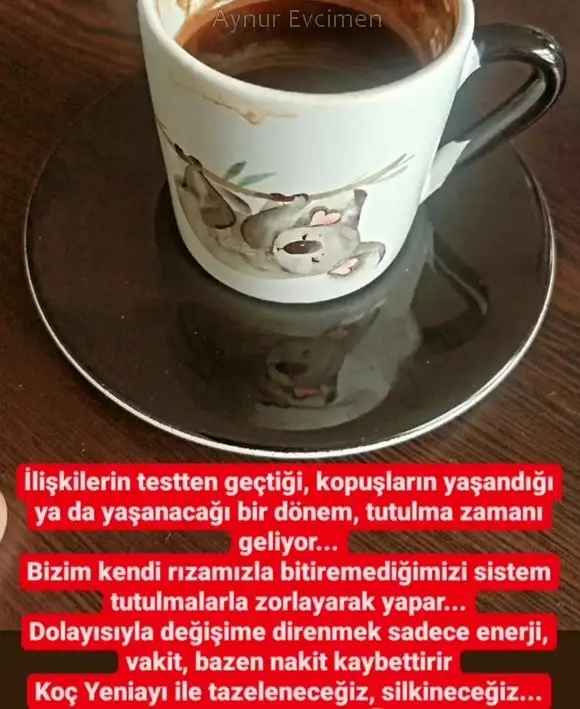 koç yeniayı 5.webp