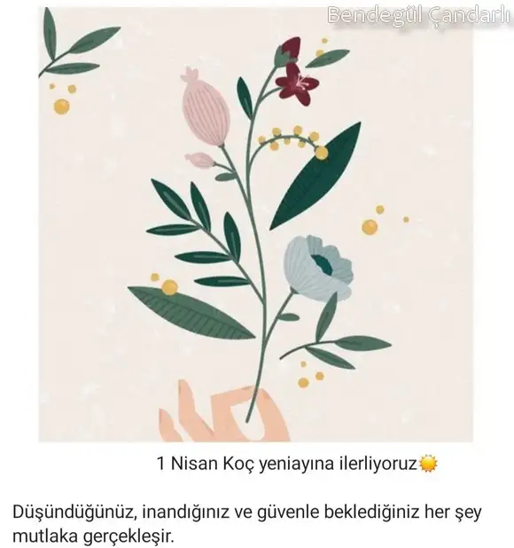 koç yeniayı 7.webp