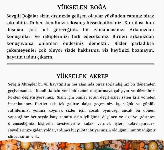 koç yeniayı 8 (3).webp