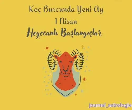 koç yeniayı1 (1).webp
